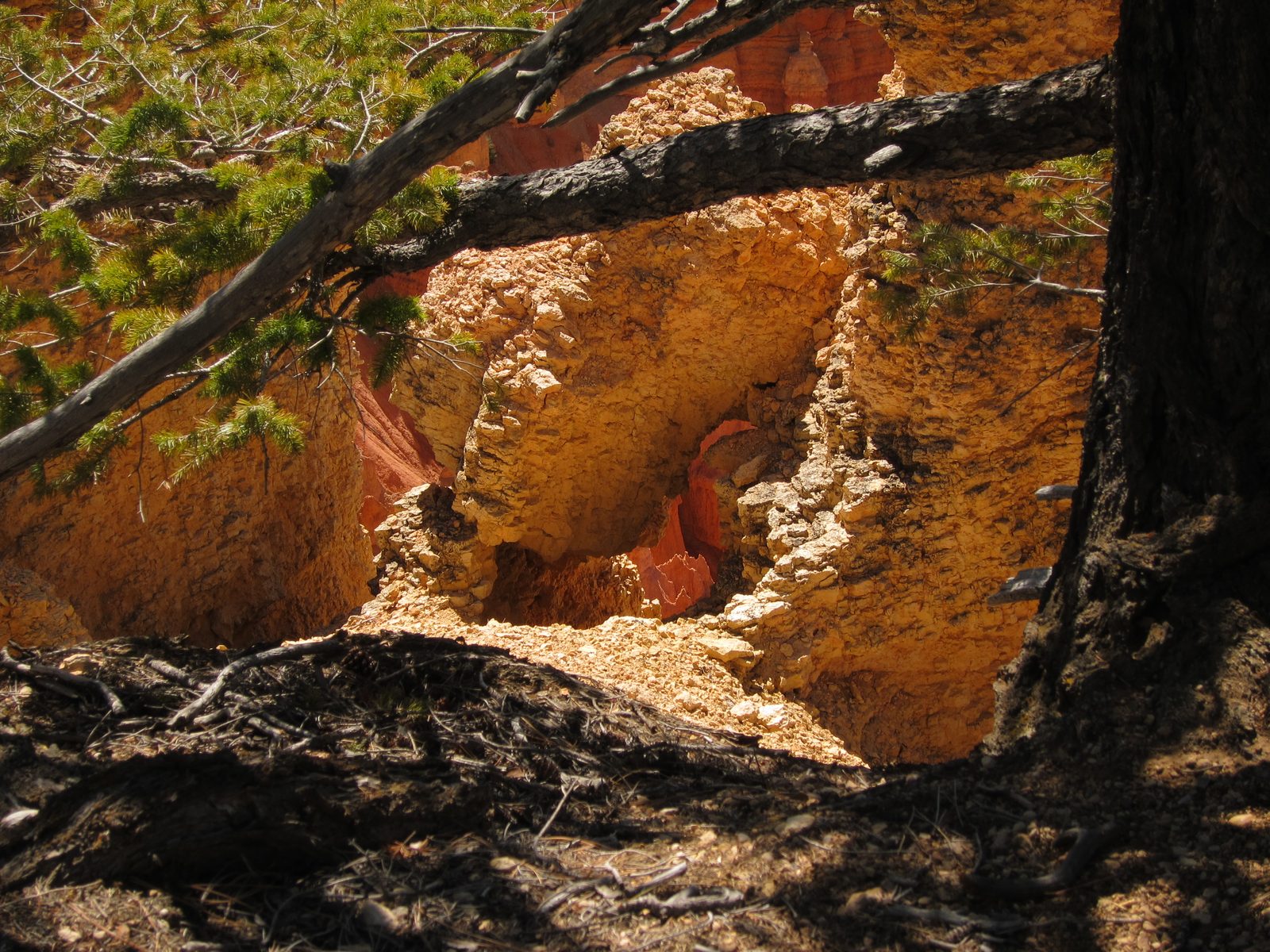 Looking down into some of the rock formations